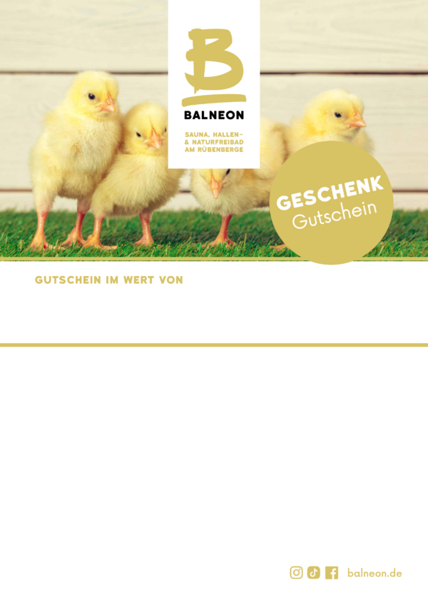 240805_balneon_gutschein_1_17.pdf